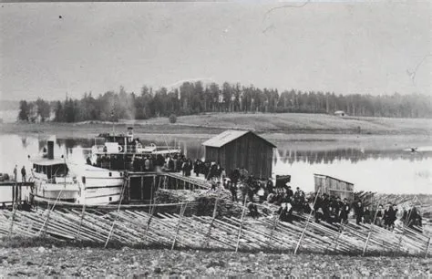  Hacienda-kapina: Uudenajan sosialismin nousu 1900-luvun alussa Meksikossa